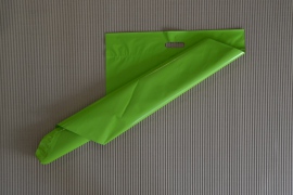 Zelená plastová obálka s uchem 480x730+50mm